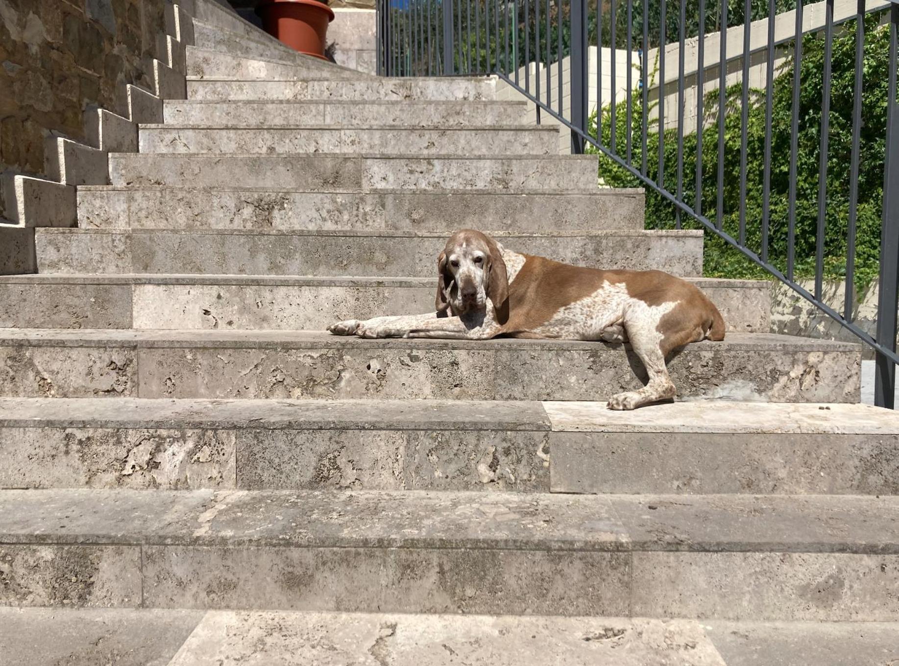 Corte Francigena Montalcino Zewnętrze zdjęcie